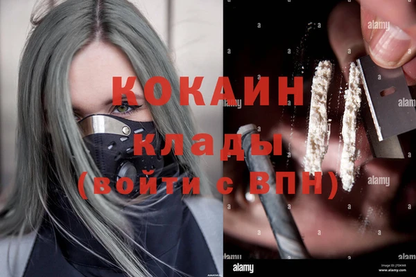 кокаин Белокуриха