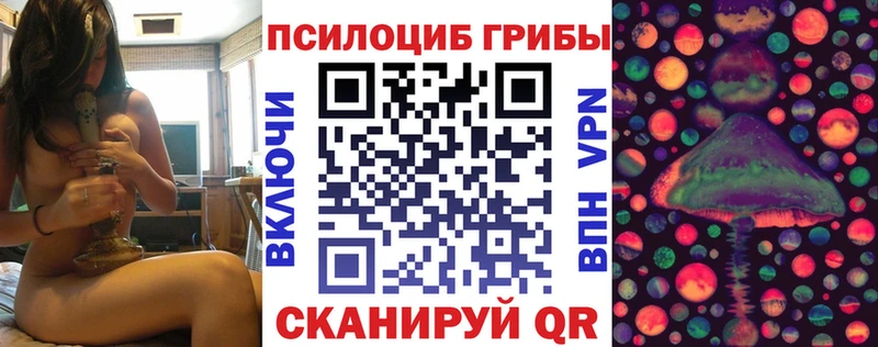 цена наркотик  Свободный  Галлюциногенные грибы Psilocybe 